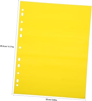 Amazon | Toyvian インデックス a4 11穴 インデックスカード PP